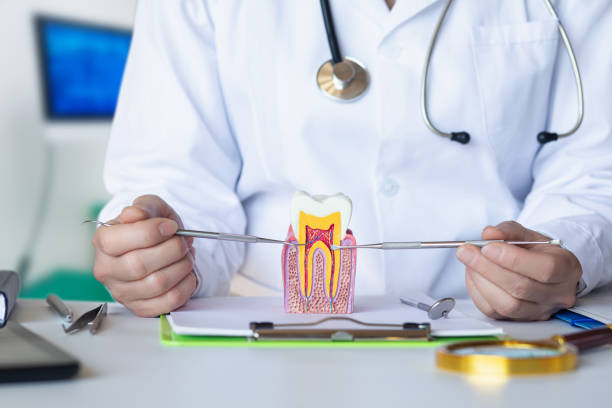 Best Emergency Cosmetic Dentistry in Blacksburg, SC